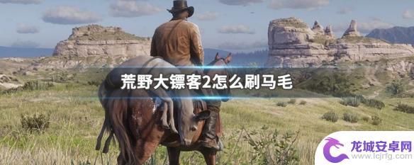 荒野大镖客刷毛 刷马毛的有效方法在荒野大镖客2中