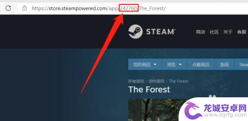 怎么通过游戏id查steam账号 快速查看Steam游戏的ID方法