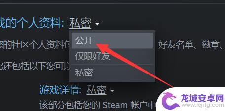 steam公开 steam资料全部公开流程