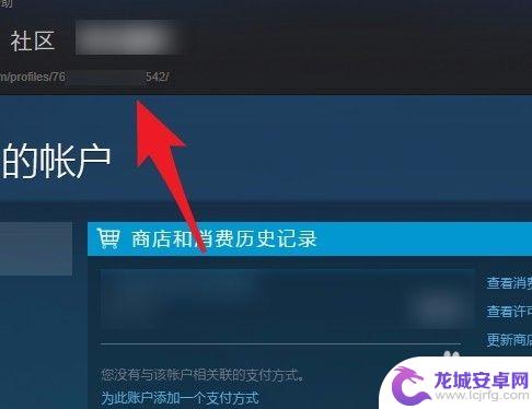 steam绝地求生17位id 如何查看Steam账号的17位数字ID