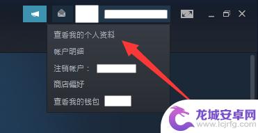 steam怎么看自己注册日期 Steam账号注册时间怎么查看