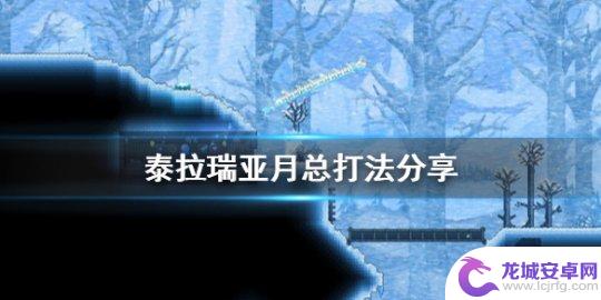 泰拉瑞亚射手怎么秒月总 《泰拉瑞亚》月亮领主打法攻略