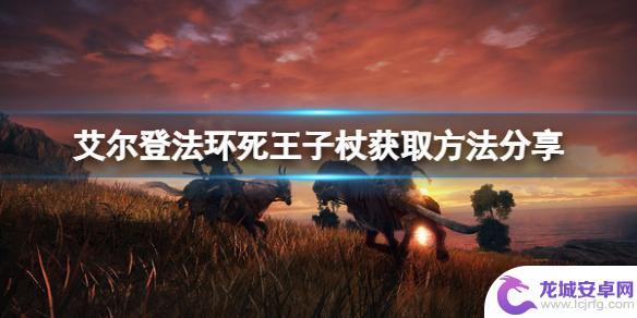 艾尔登法环死亡王子杖 艾尔登法环死王子杖获取技巧分享