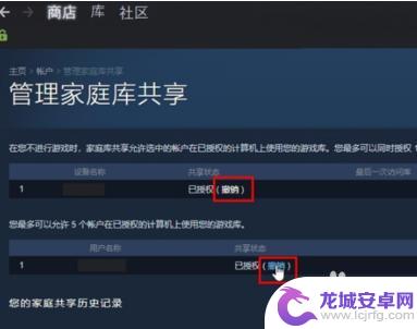 steam游戏如何分享屏幕 Steam游戏共享功能怎么使用