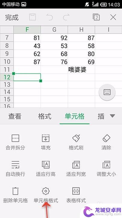手机wps表格单元格格式设置 手机WPS Office表格如何设定单元格格式