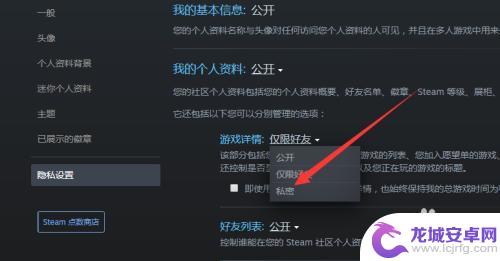 怎么让steam好友看不见自己在玩 steam如何设置让好友无法看到你玩游戏的通知