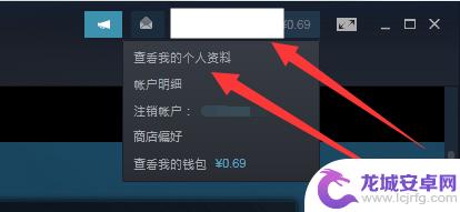 怎么让steam好友看不见自己在玩 steam如何设置让好友无法看到你玩游戏的通知