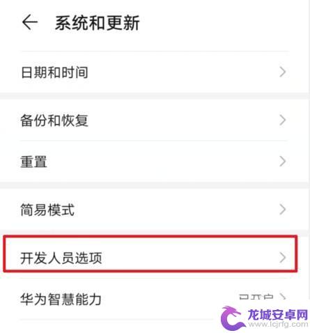 华为手机设置中没有开发人员选项怎么办 华为手机开发者选项不见了怎么办