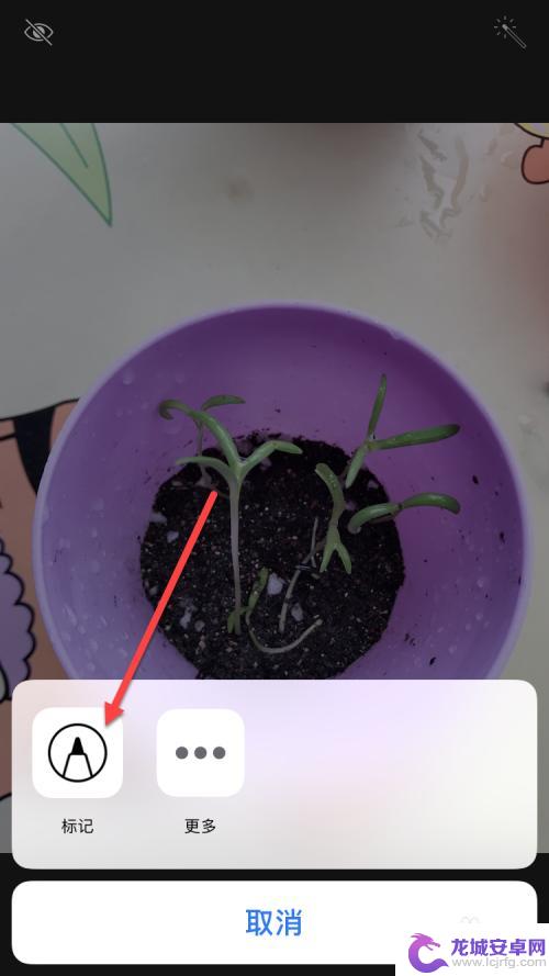 苹果手机照片做标记 怎样在苹果手机照片上做标记