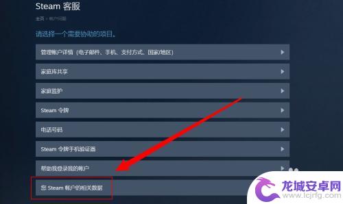 怎么查看steam登录记录 Steam如何查看最近登入记录