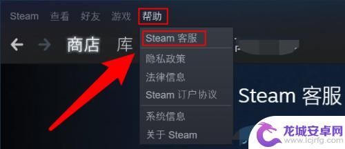 怎么查看steam登录记录 Steam如何查看最近登入记录