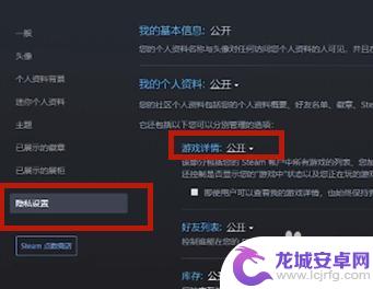 如何隐藏steam的桌面游戏 Steam怎么隐藏自己在玩的游戏