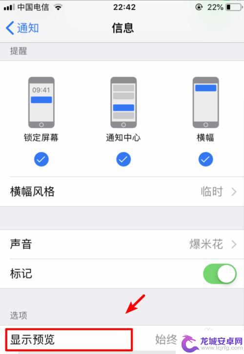 苹果手机来短信不显示号码怎么设置 iphone手机如何设置短信隐私显示