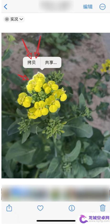 苹果手机削皮怎么保存 苹果手机抠图后保存格式