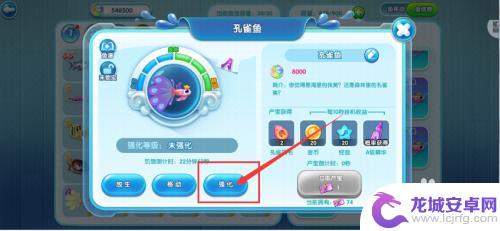 萌鱼泡泡怎么强化等级 孔雀鱼一星强化步骤萌鱼泡泡手游