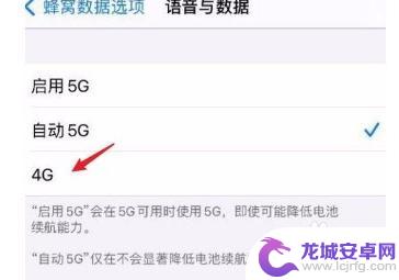 苹果手机在哪里选择4g网络 苹果12如何设置4G网络