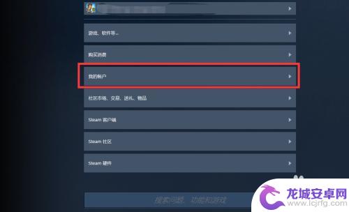 怎么锁定steam账户 Steam账号锁定方法详解