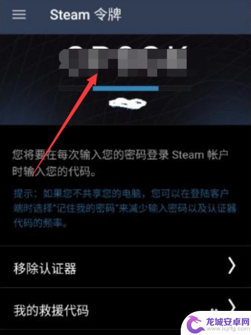 c5steam暂挂怎么设置 怎样解除C5交易暂挂