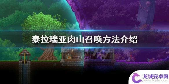 泰拉瑞亚召唤肉山必须要向导吗 《泰拉瑞亚》肉山召唤条件及方法详解