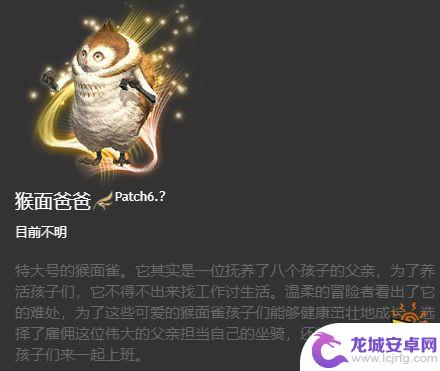 steam游戏联军 FF14 6.x版本全214种坐骑怎么获得