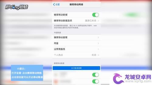 苹果手机怎么关闭移动 苹果手机移动数据的开启和关闭方法