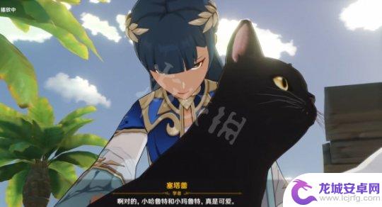 原神被攻击的猫叫什么 《原神》塞塔蕾的猫名字是什么