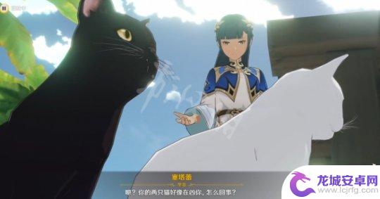 原神被攻击的猫叫什么 《原神》塞塔蕾的猫名字是什么