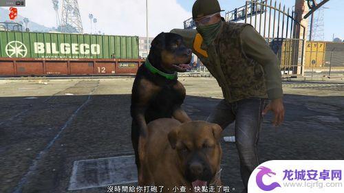 gta5狗拉屎了怎么办 狗狗不听指令到处拉屎怎么办