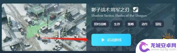 steam石油骚动多少钱？全面解析steam石油骚动价格