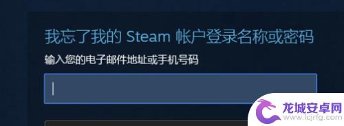 steam账号密码怎么查看 忘记Steam账号密码怎么找回