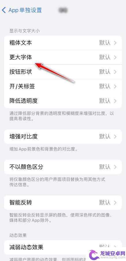 苹果手机app字体怎么变大 iPhone 怎样单独设置应用字体大小