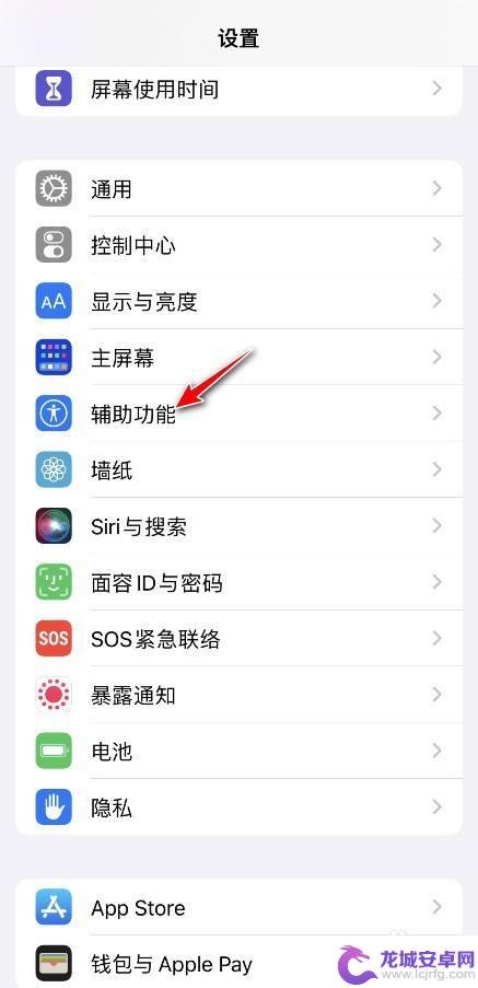 苹果手机app字体怎么变大 iPhone 怎样单独设置应用字体大小