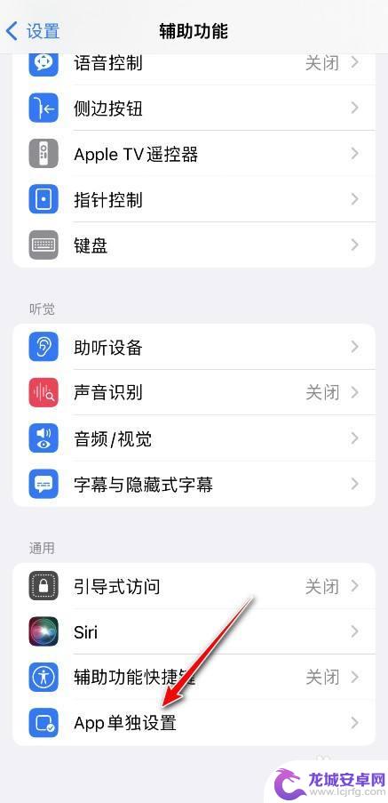 苹果手机app字体怎么变大 iPhone 怎样单独设置应用字体大小