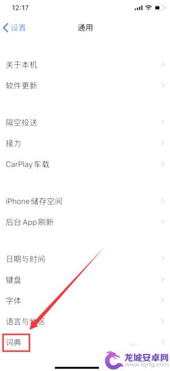 苹果手机带字典怎么设置 iOS 11系统自带词典功能