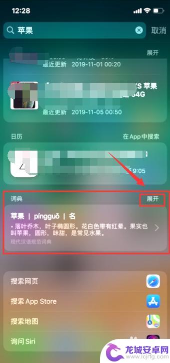 苹果手机带字典怎么设置 iOS 11系统自带词典功能