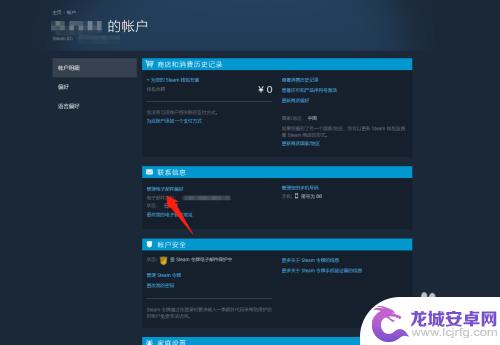 steam出售东西怎么取消邮箱 怎样在Steam设置中取消接收平台邮件