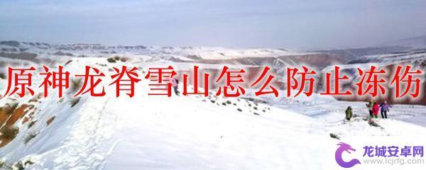 原神严寒环境怎么办 原神龙脊雪山防止冻伤攻略