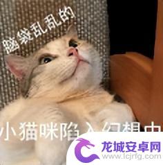 今年最吸引眼球的6000mAh双色手机！