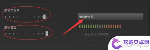 steam如何游戏内讲话 如何在Steam中测试麦克风以确保游戏语音正常