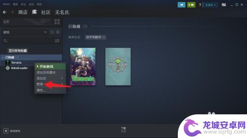 steam游戏列表游戏不见了 Steam购买的游戏在游戏库里消失了怎么办