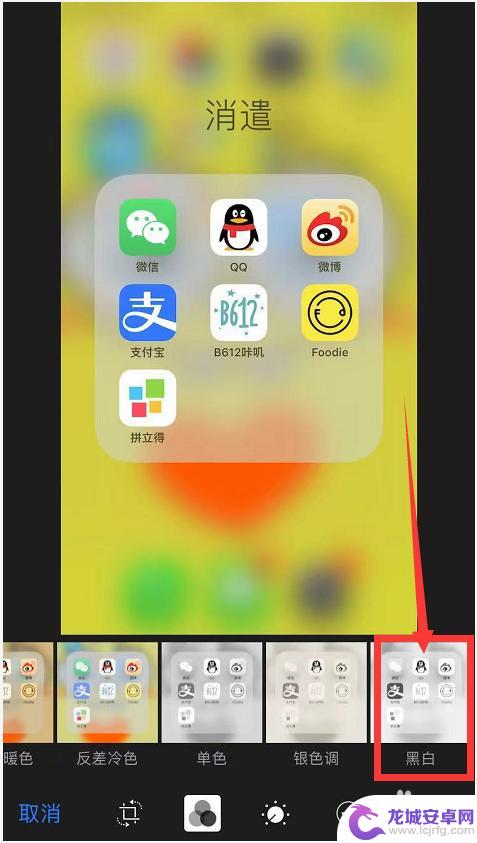 手机拍照黑白荷花怎么设置 苹果手机黑白照片设置步骤