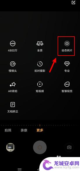 vivo怎么拍实况照片 vivo动态照片拍摄技巧