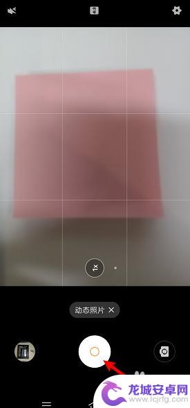 vivo怎么拍实况照片 vivo动态照片拍摄技巧