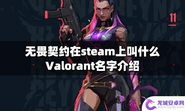 steam瓦洛兰特 Valorant无畏契约最新版本介绍