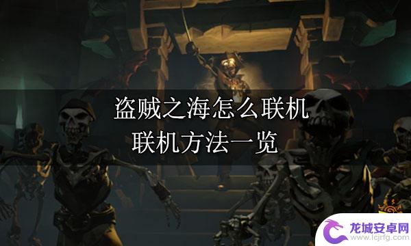 盗贼之海steam怎么组队 盗贼之海联机模式解析