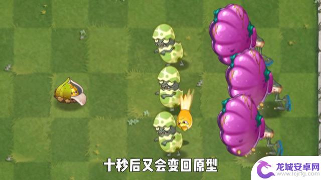 无耻的脱衣大师@植物大战僵尸2