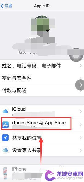 苹果手机同一个id怎么取消共享软件 apple ID怎么取消app共享功能