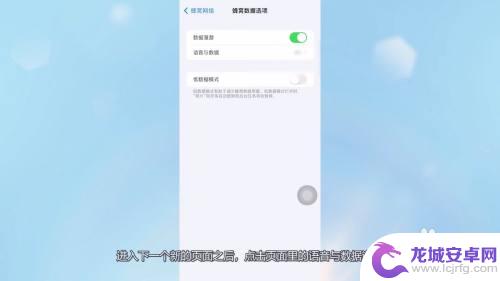 苹果手机设置4g网络 苹果13如何设置4g网络模式