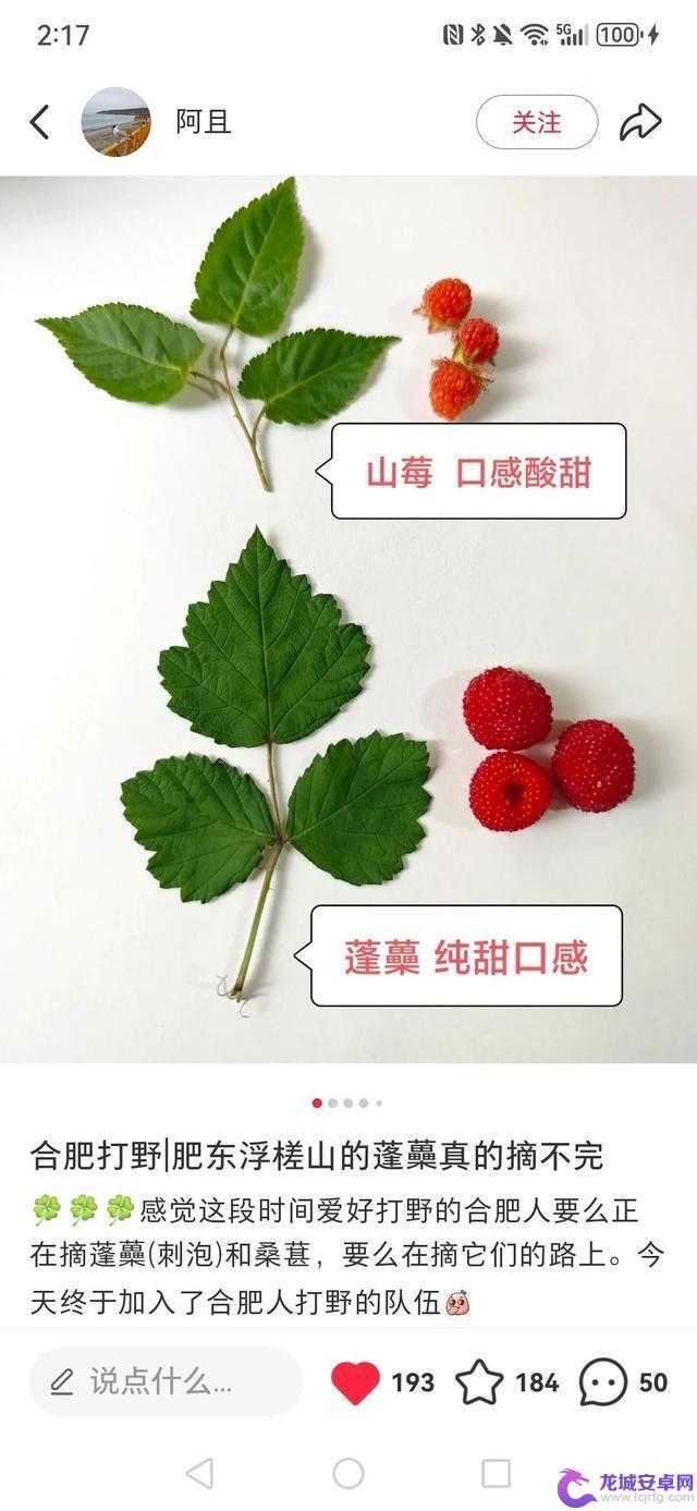 合肥市民热衷于“打野”游戏?有人花费大量时间整理攻略,但需注意风险