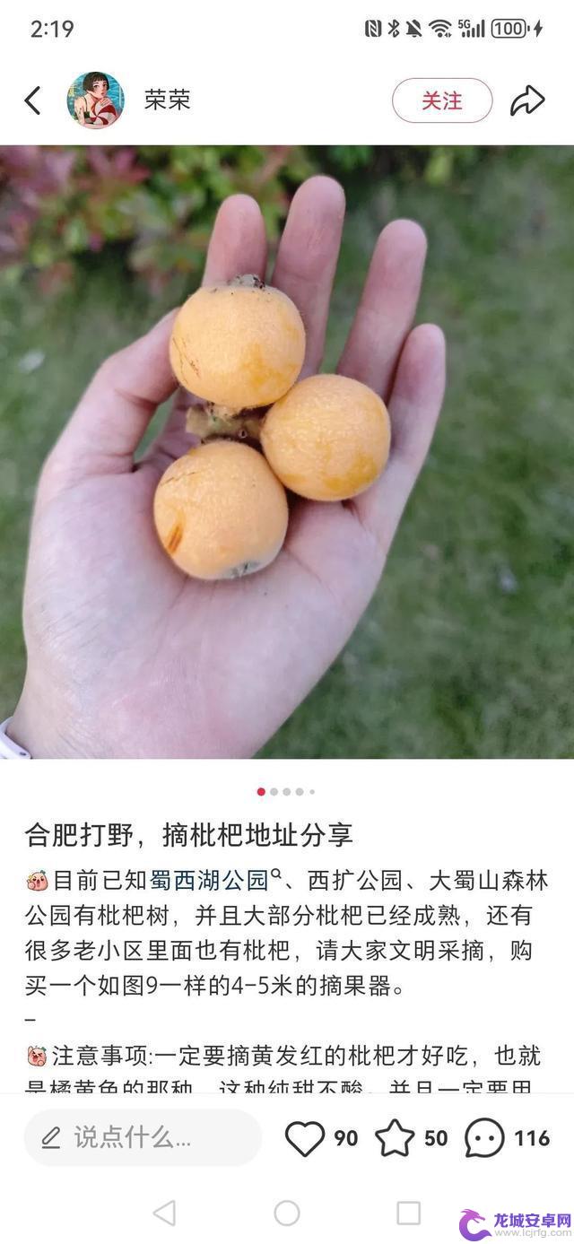 合肥市民热衷于“打野”游戏?有人花费大量时间整理攻略,但需注意风险